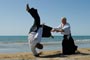 948 Aikido