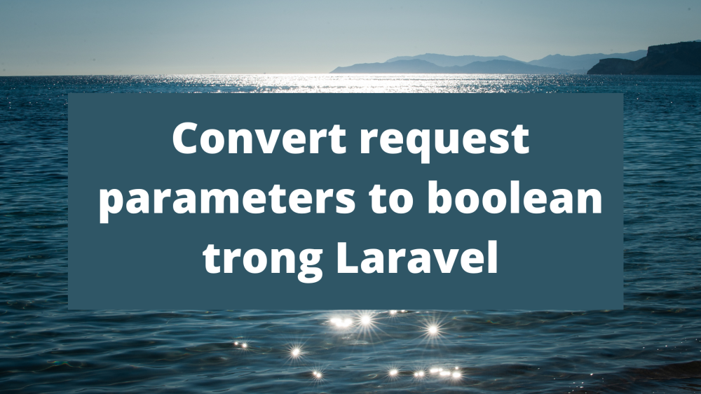 Convert request parameters to boolean trong Laravel