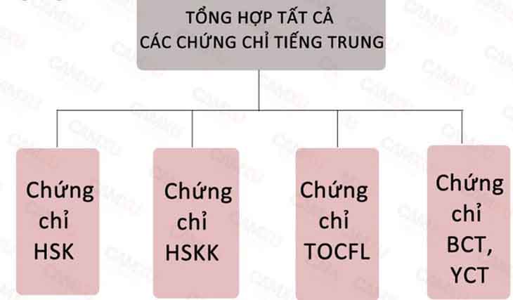 Các loại chứng chỉ tiếng Trung